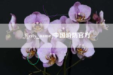 阿拉尔中国消防官方