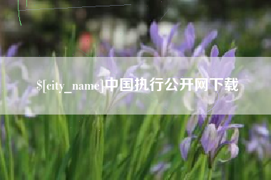 阿拉尔中国执行公开网下载
