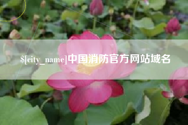 阿拉尔中国消防官方网站域名