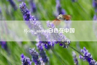 阿拉尔白色在中国