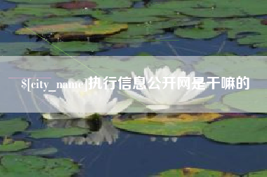 阿拉尔执行信息公开网是干嘛的