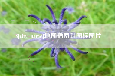 阿拉尔地图指南针图标图片