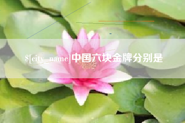 阿拉尔中国六块金牌分别是