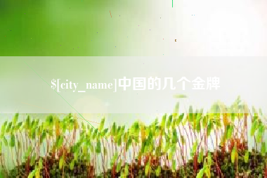 阿拉尔中国的几个金牌