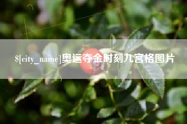 阿拉尔奥运夺金时刻九宫格图片