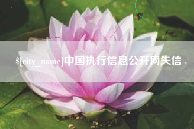 阿拉尔中国执行信息公开网失信