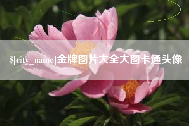 阿拉尔金牌图片大全大图卡通头像
