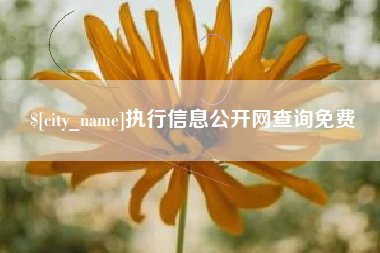 阿拉尔执行信息公开网查询免费
