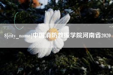 阿拉尔中国消防救援学院河南省2020